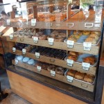 49th parallel coffee